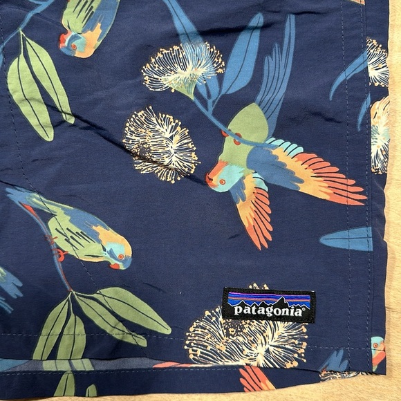 Patagonia Birds of Paradise 4.5” Baggies Sz L - Picture 2 of 6